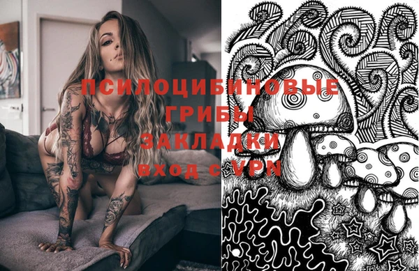 крисы Бронницы