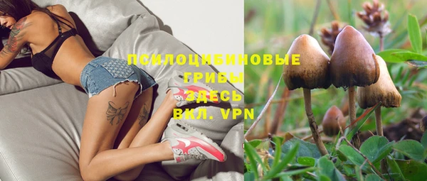 крисы Бронницы