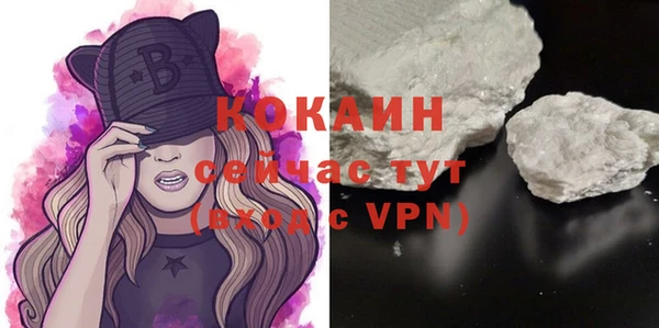 крисы Бронницы