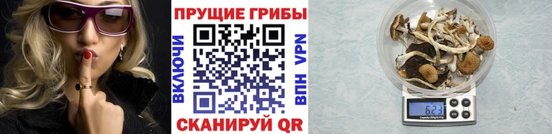 цены наркотик  Джанкой  Галлюциногенные грибы мухоморы 